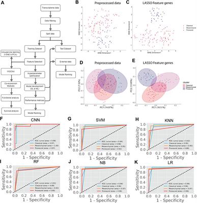 A Deep Learning–Based Framework for Supporting Clinical Diagnosis of Glioblastoma Subtypes